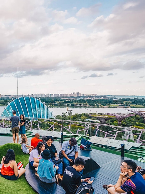 gardens by the bay tickets: supertree observatory-9