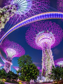 Gardens by the Bay