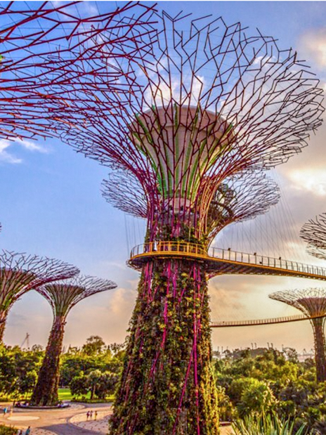 gardens by the bay tickets-10