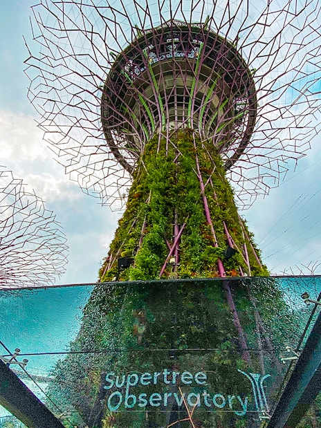 gardens by the bay tickets: supertree observatory-1