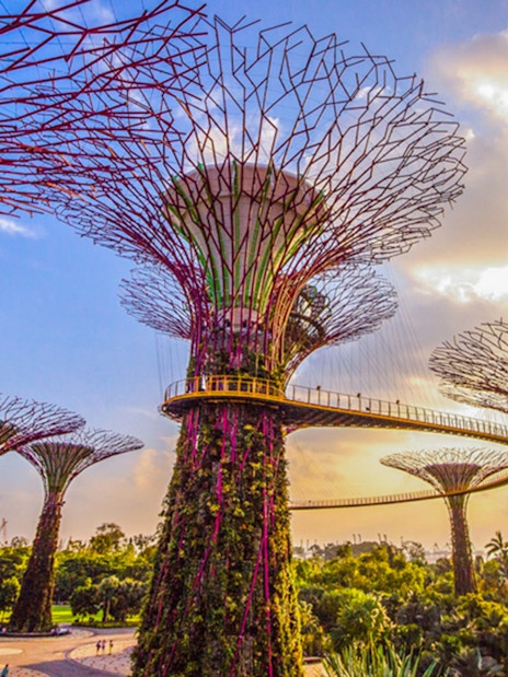 gardens by the bay tickets: supertree observatory-8