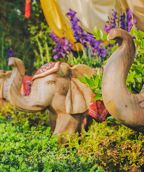 combo (save 14%): singapore night safari with tram ride + gardens by the bay & flower dome tickets-8