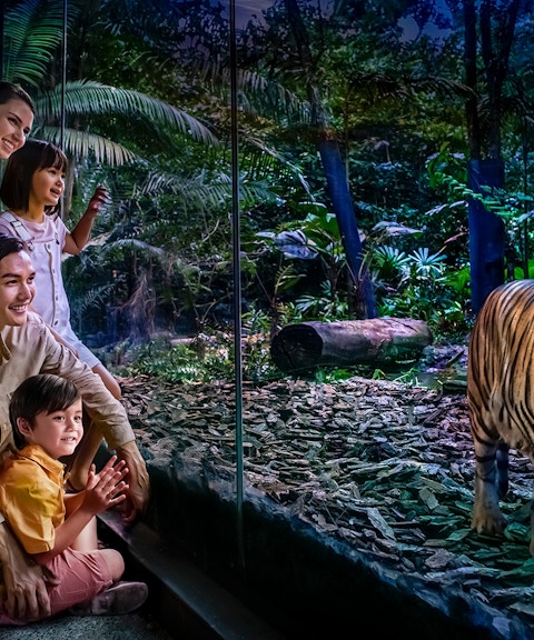 2-park hopper: night safari + singapore zoo tickets-6