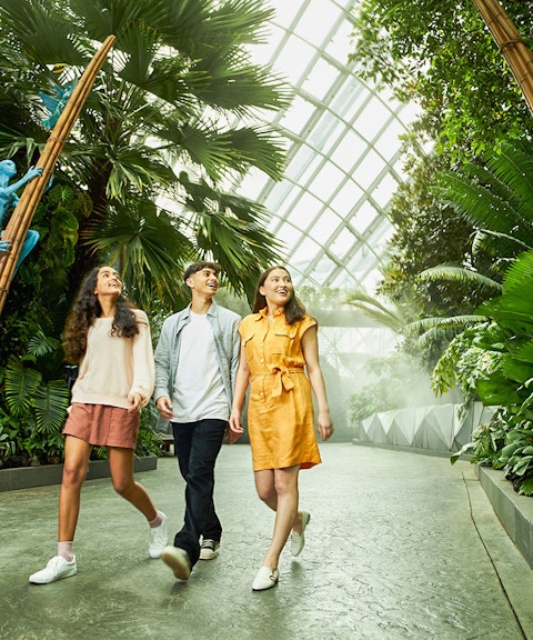 combo (save 14%): gardens by the bay + night safari + singapore zoo tickets-9