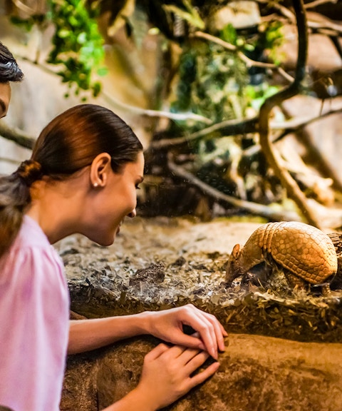 combo (save 11%): singapore night safari tickets + dinner buffet at ulu ulu restaurant-7