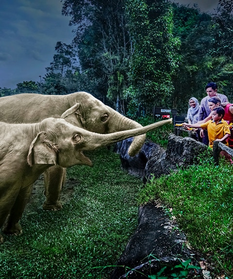 combo (save 14%): singapore night safari with tram ride + gardens by the bay & flower dome tickets-2