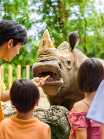 Singapore Zoo