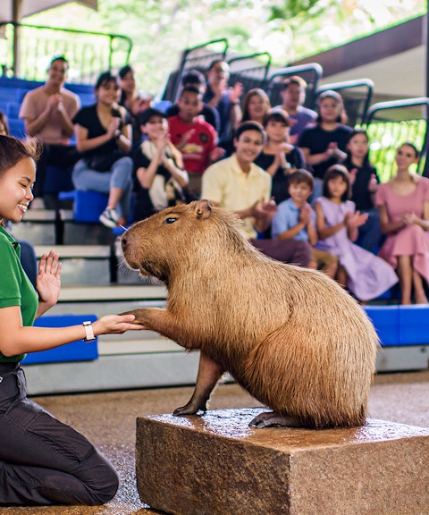 all-park hopper: singapore zoo + river wonders + night safari + bird paradise (recommended)-10