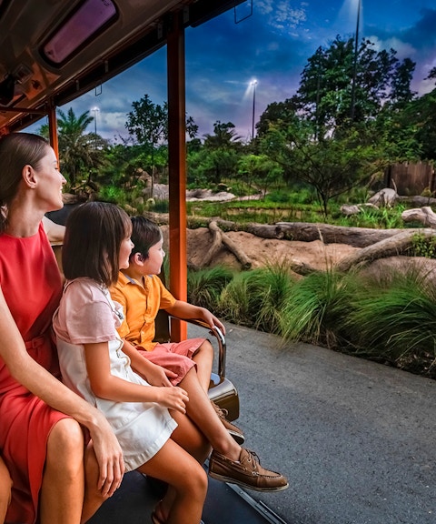 2-park hopper: night safari + singapore zoo tickets-2