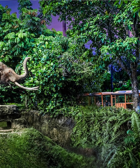 2-park hopper: night safari + singapore zoo tickets-3