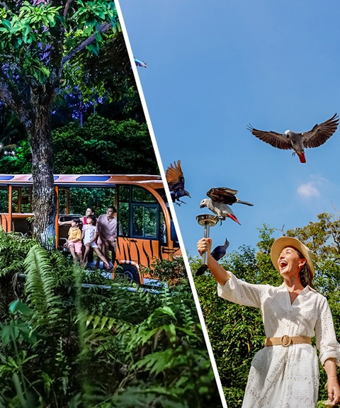 2-park hopper: night safari + bird paradise tickets-1