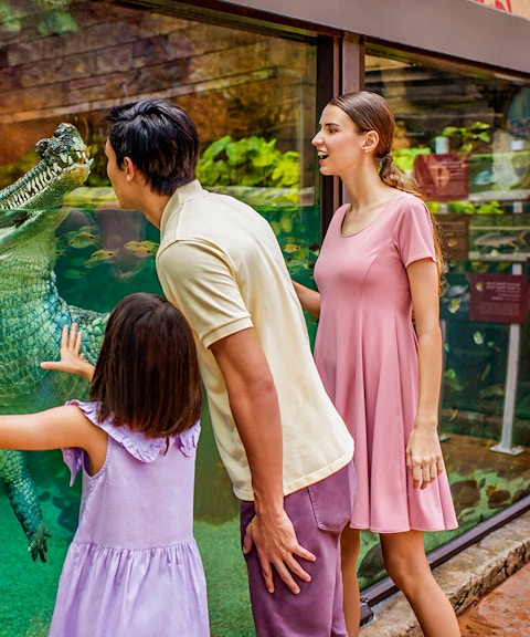 all-park hopper: singapore zoo + river wonders + night safari + bird paradise (recommended)-7