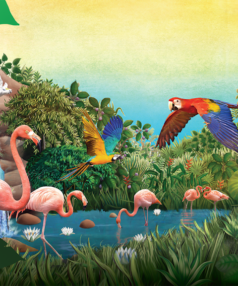 all-park hopper: singapore zoo + river wonders + night safari + bird paradise (recommended)-1