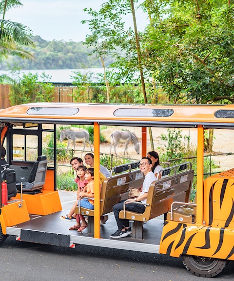 night safari tickets with tram ride-8