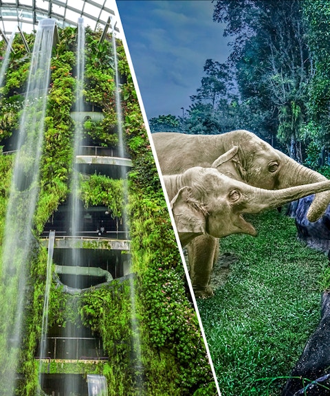 combo (save 14%): gardens by the bay + night safari + singapore zoo tickets-1