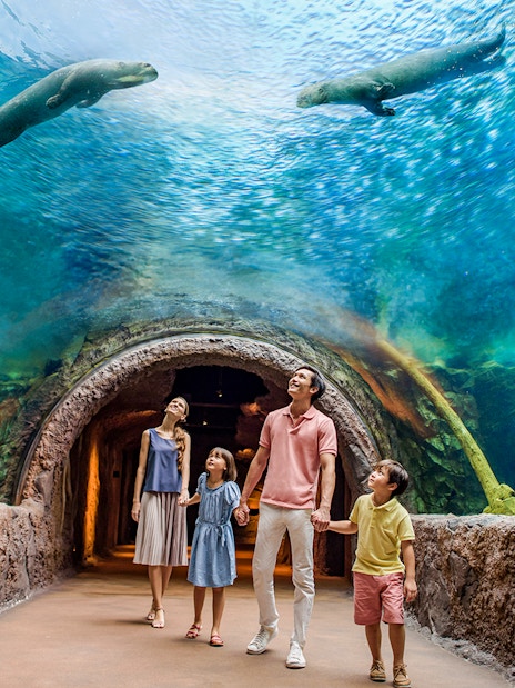 2-park hopper: singapore zoo + river wonders tickets-9