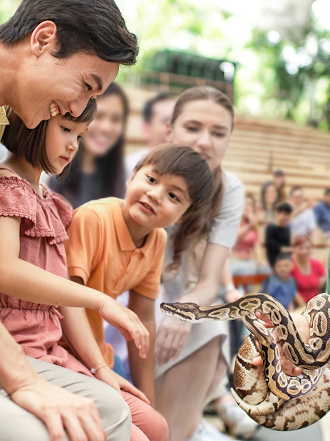 2-park hopper: night safari + singapore zoo tickets-5