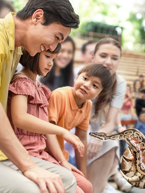 singapore zoo tickets with tram ride-10