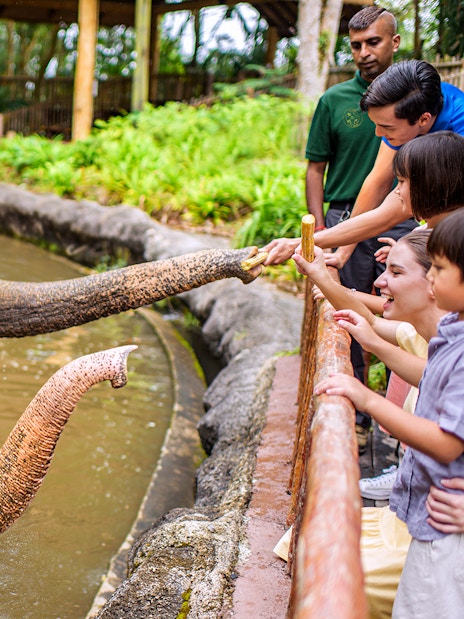 singapore zoo tickets with tram ride-9