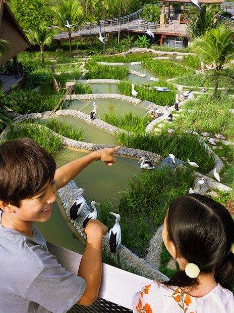 combo (save 14%): gardens by the bay + night safari + singapore zoo tickets-3