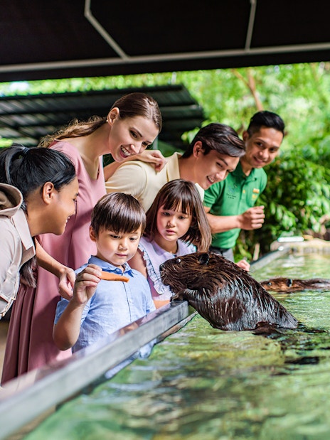 2-park hopper: singapore zoo + river wonders tickets-7