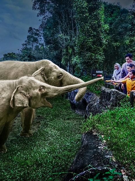 all-park hopper: singapore zoo + river wonders + night safari + bird paradise (recommended)-4