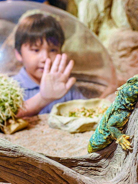 combo (save 5%): singapore zoo + breakfast in the wild-7