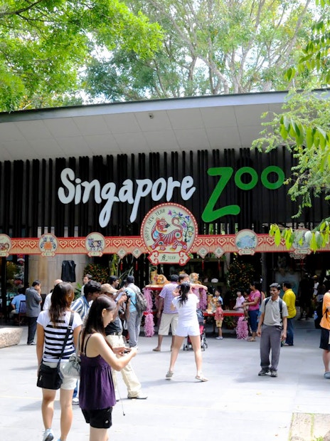 2-park hopper: night safari + singapore zoo tickets-10