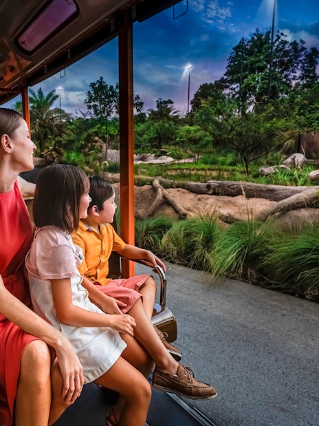 2-park hopper: night safari + singapore zoo tickets-2