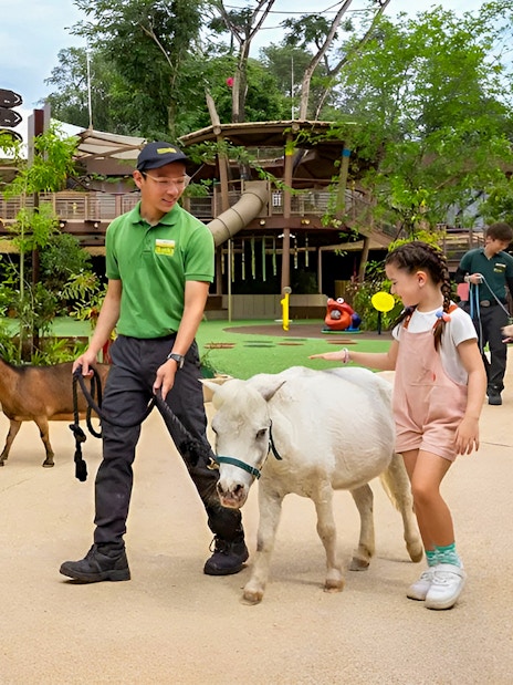 combo: singapore zoo + vip buggy tour-3