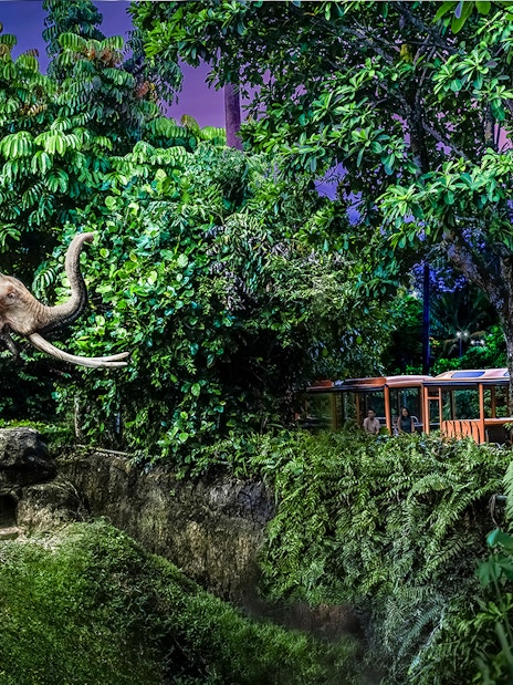 2-park hopper: night safari + singapore zoo tickets-3