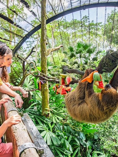 combo (save 5%): singapore zoo + breakfast in the wild-6