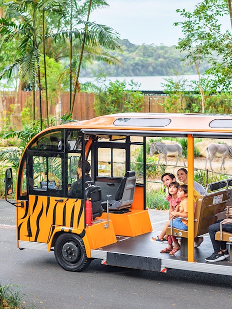 2-park hopper: night safari + singapore zoo tickets-4