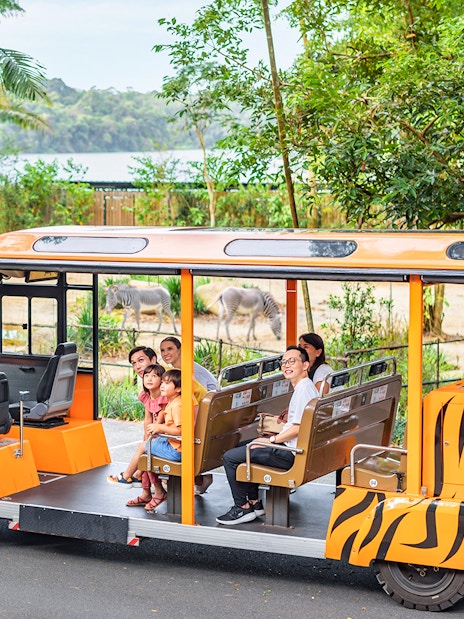 singapore zoo tickets with tram ride-1