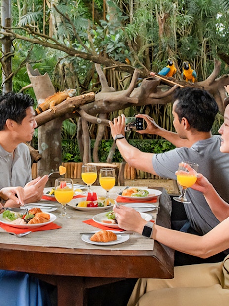 combo (save 5%): singapore zoo + breakfast in the wild-5