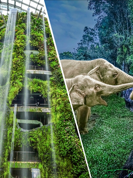 combo (save 14%): gardens by the bay + night safari + singapore zoo tickets-1