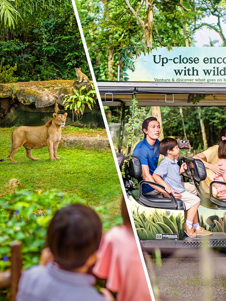 combo: singapore zoo + vip buggy tour-1