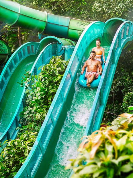 combo (save 4%): universal studios singapore + adventure cove waterpark-4