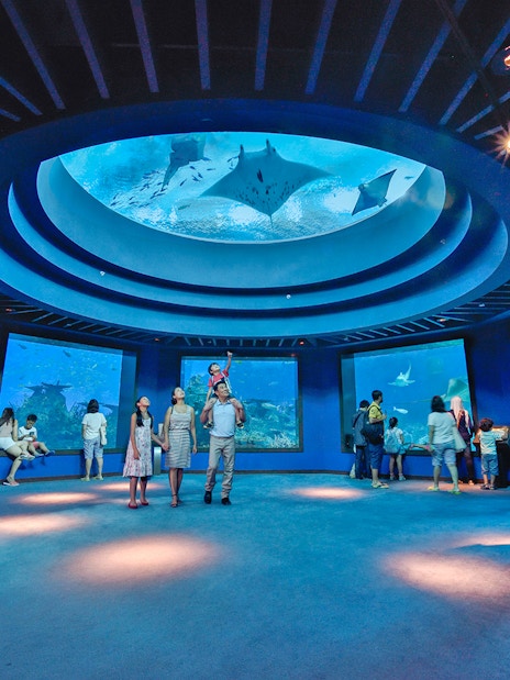 combo: universal studio singapore + s.e.a aquarium™ singapore tickets-4