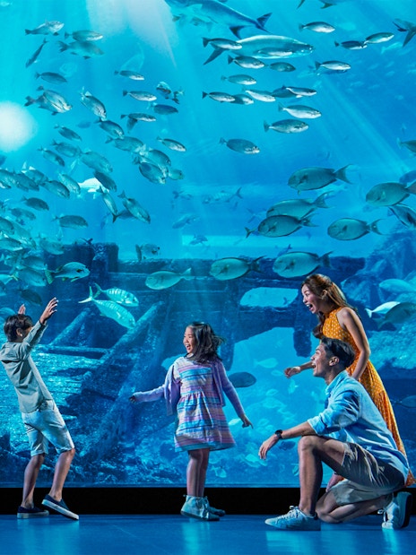 combo (save 10%): universal studios singapore + gardens by the bay tickets-6