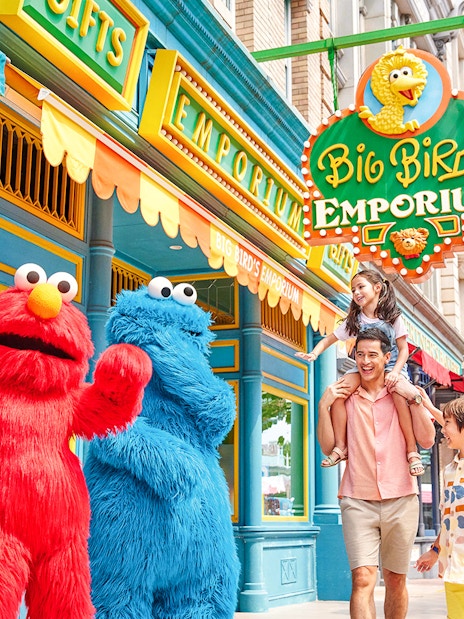 combo (save 2%): universal studios singapore + singapore flyer with time capsule tickets-8