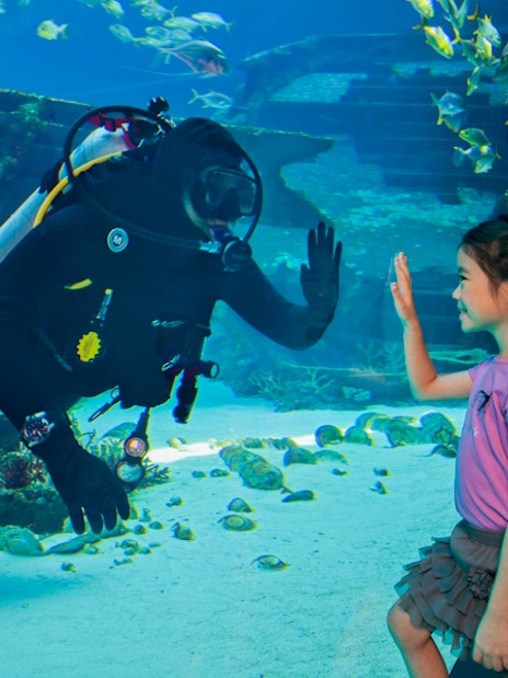 combo: universal studio singapore + s.e.a aquarium™ singapore tickets-5